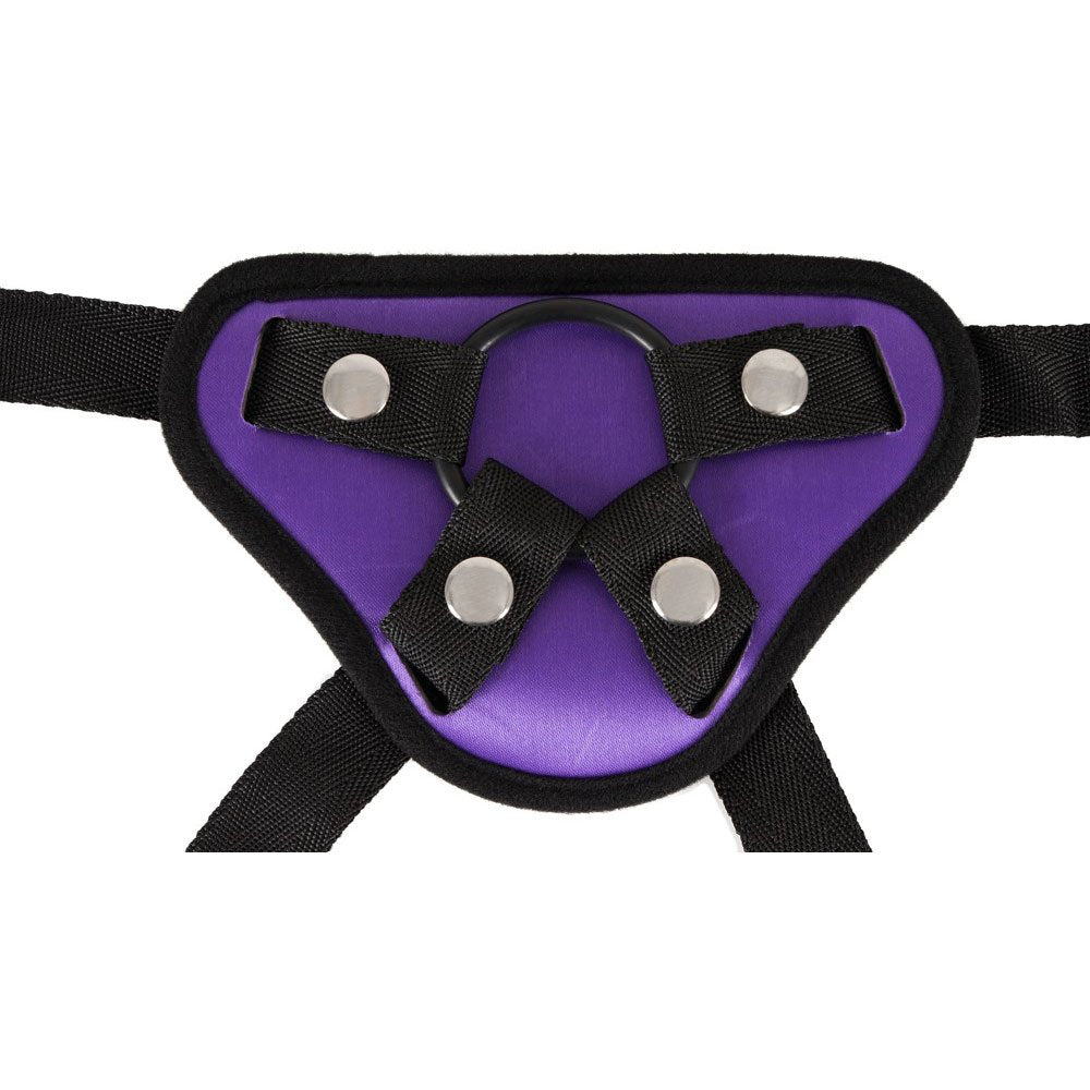 Universal harness