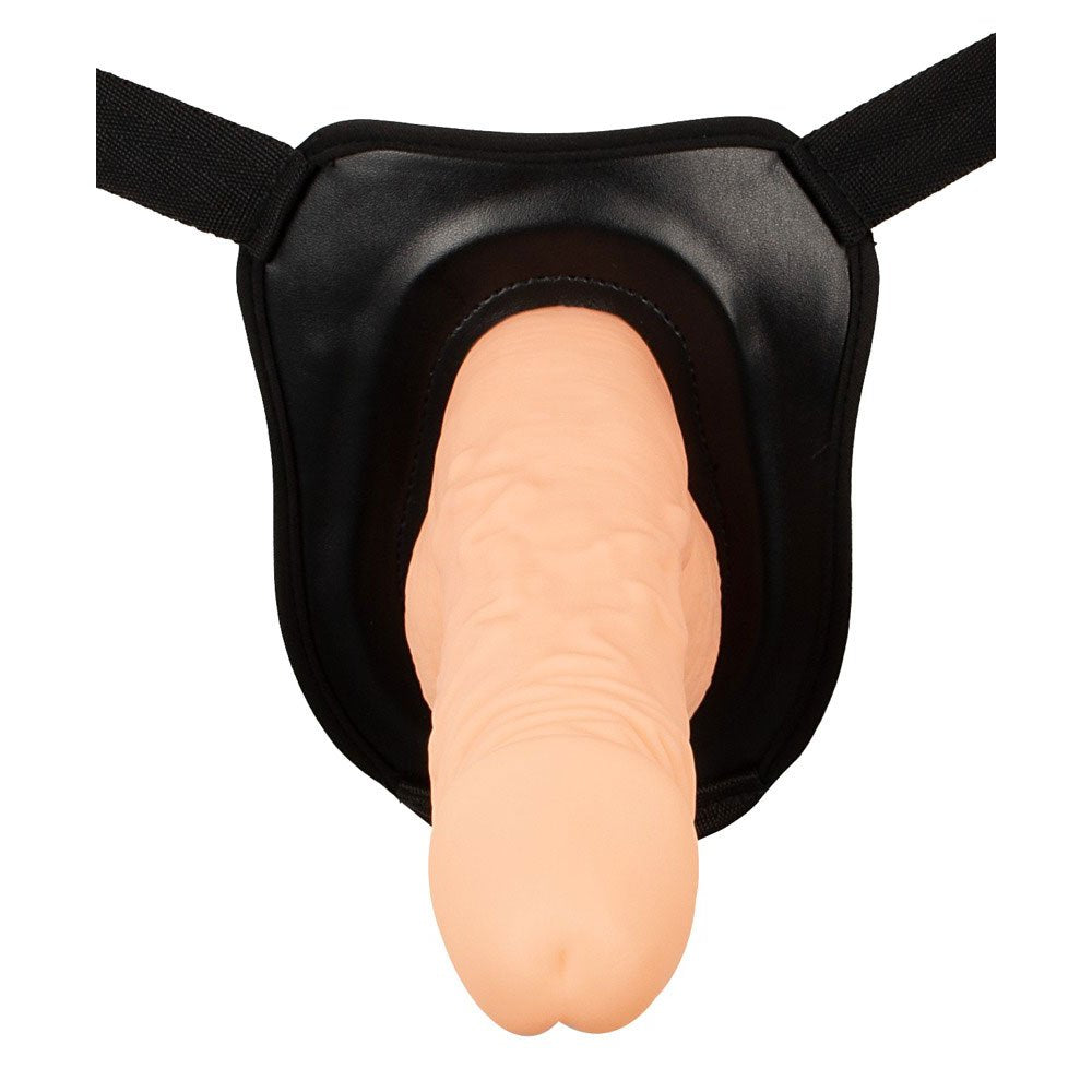 ERECTION ASSISTANT
