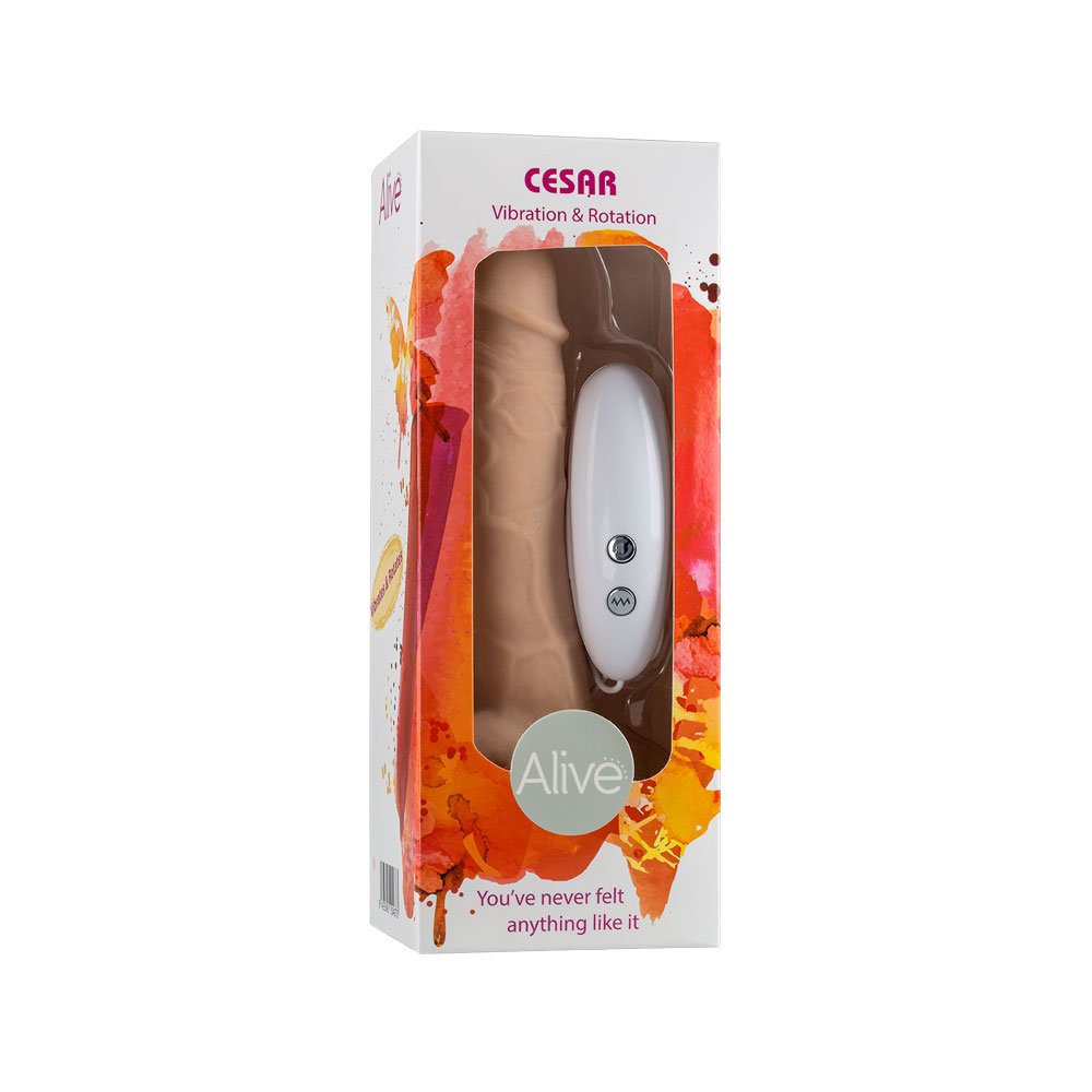 Cesar Vibrator & Rotator